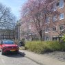Juliana van Stolbergstraat 54 I